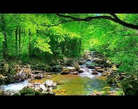 Casa de Férias El Maestro Caudiel
